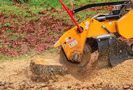 Best Lawn Watering Services  in Mount Airy, MD
