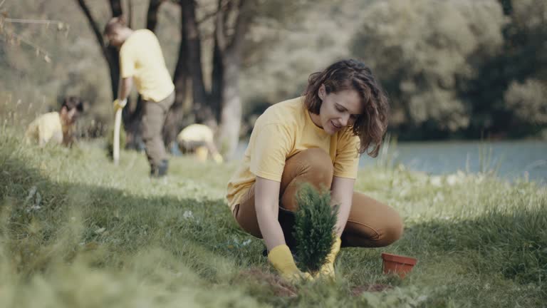 Best Pest Control for Lawns  in Mount Airy, MD